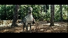 images/movie/harrypotter3/screens/Untitled_10.jpg