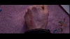 images/movie/harrypotter5/screens/Untitled_20.jpg