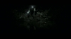 images/movie/harrypotter6/screens/Untitled_47.jpg