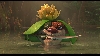 images/movie/iceage3/screens2/Untitled_082.jpg