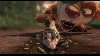 images/movie/iceage3/screens2/Untitled_089.jpg