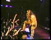 images/movie/sebastianbachforeverwild/screens/snapshot20061105110700.jpg