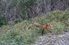 images/photos/alaska/denali/IMG_7664.jpg